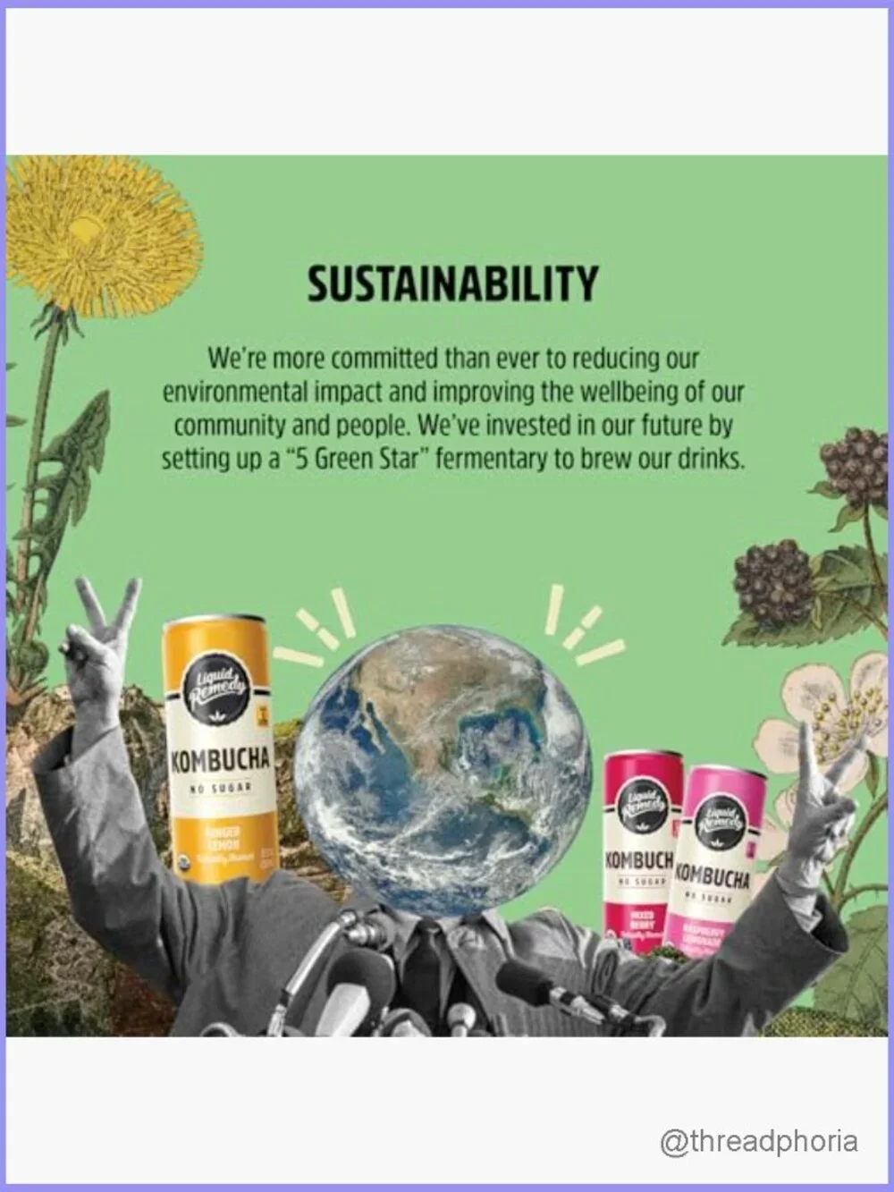 Sugar Free Kombucha Variety Pack - 24 Cans, Gut Health